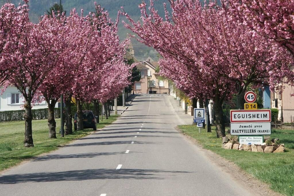 Gite A Eguisheim Proche De Colmar Et Kaysergberg. Buitenkant foto