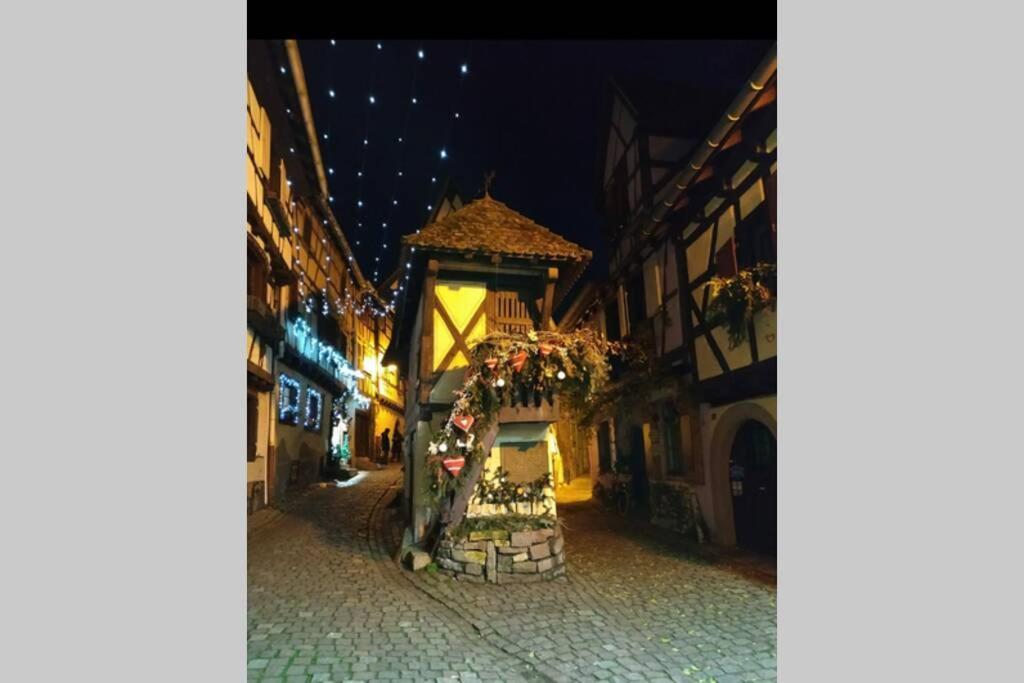 Gite A Eguisheim Proche De Colmar Et Kaysergberg. Buitenkant foto