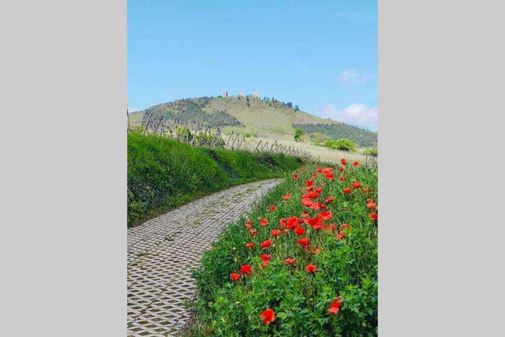 Gite A Eguisheim Proche De Colmar Et Kaysergberg. Buitenkant foto