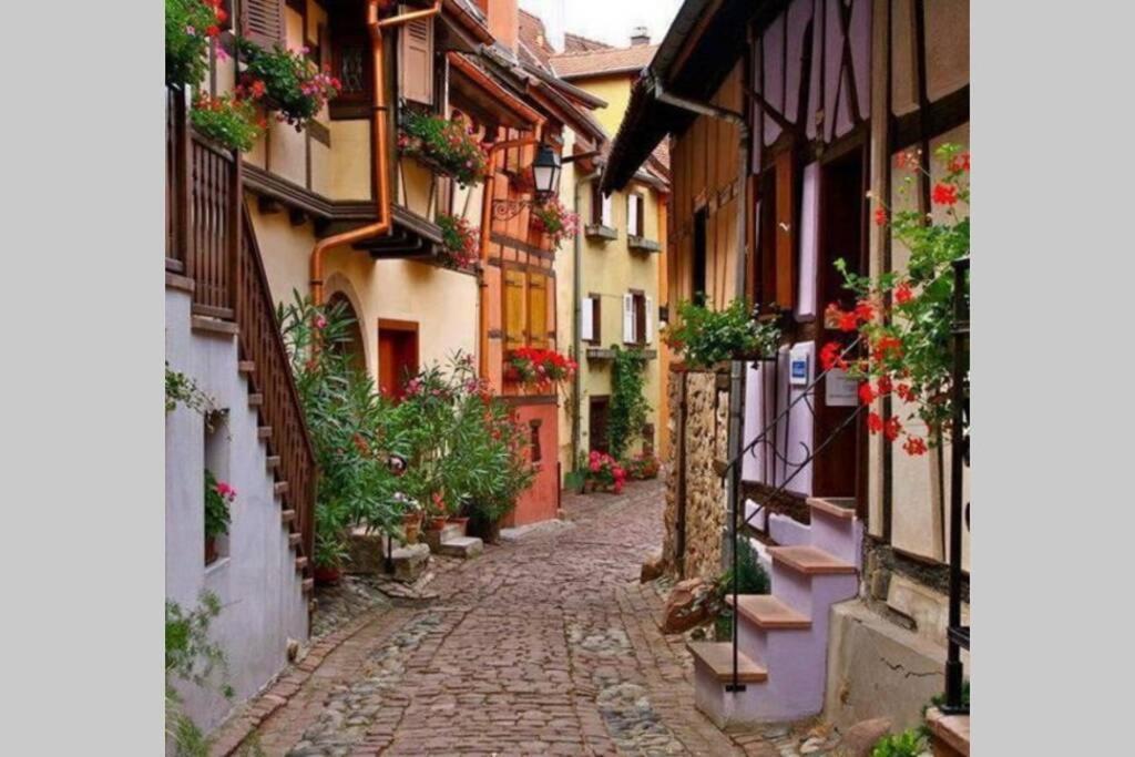 Gite A Eguisheim Proche De Colmar Et Kaysergberg. Buitenkant foto