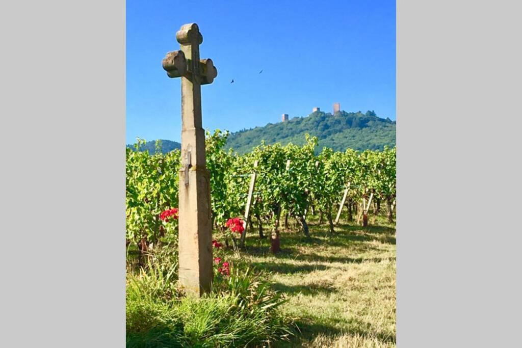 Gite A Eguisheim Proche De Colmar Et Kaysergberg. Buitenkant foto