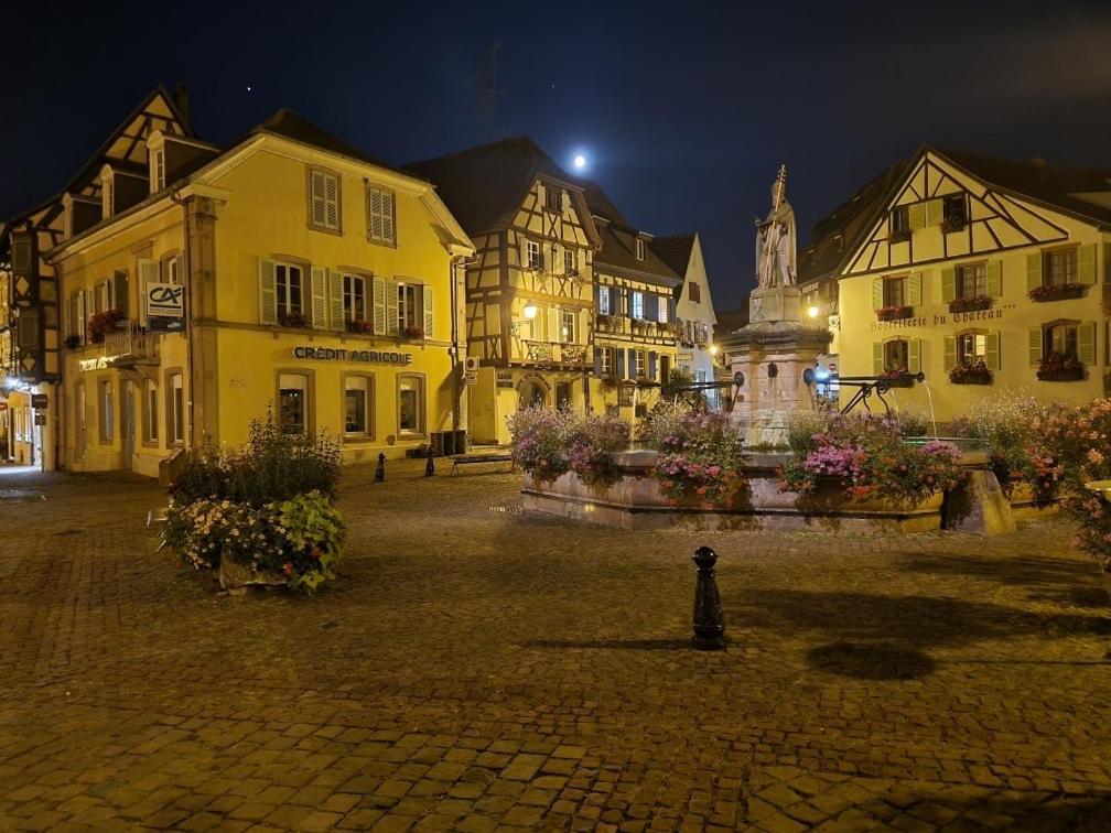 Gite A Eguisheim Proche De Colmar Et Kaysergberg. Buitenkant foto